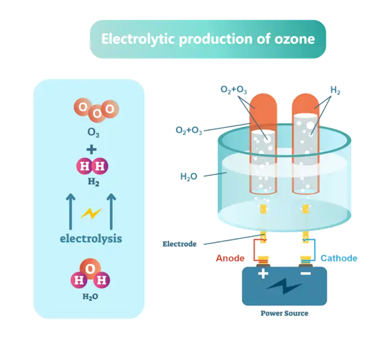 product-800-450 product-800-450
