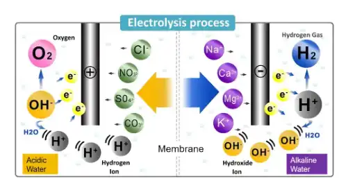 blog-501-274 blog-501-274