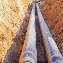 baiduimg.webp baiduimg.webp